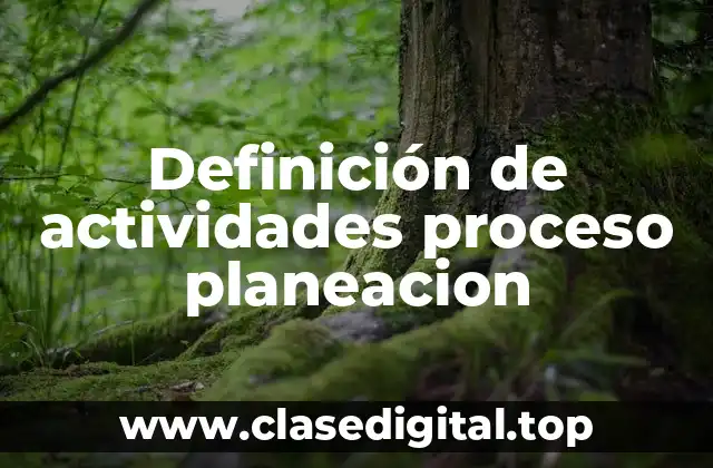 Definición de actividades proceso planeacion