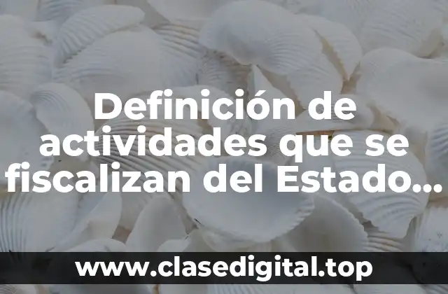 Definición de actividades que se fiscalizan del Estado público