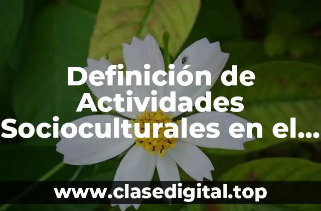 Definición de Actividades Socioculturales en el Aula
