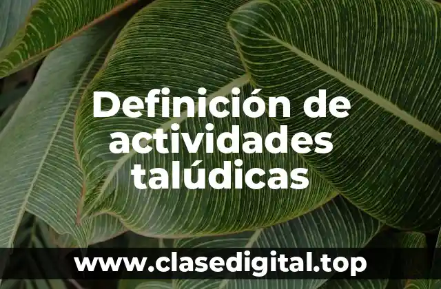 Definición de actividades talúdicas