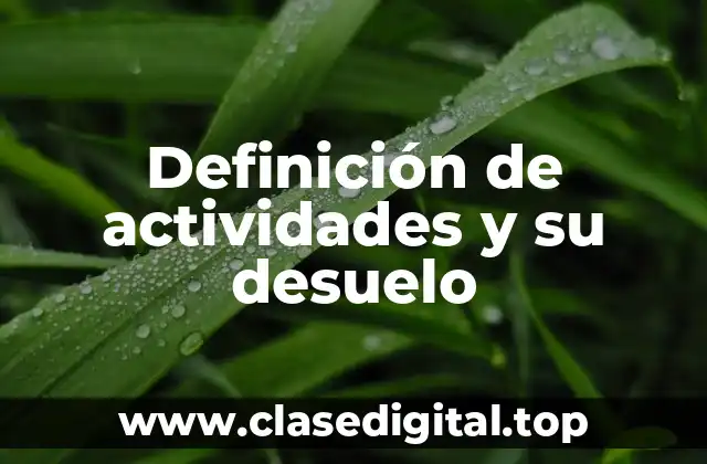 Definición de actividades y su desuelo