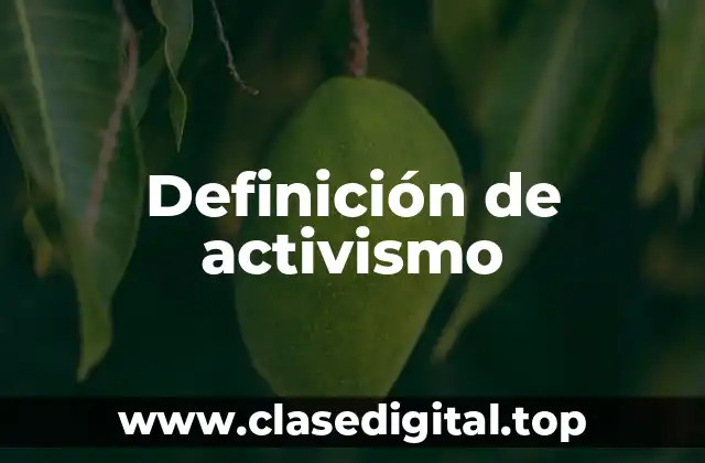 Definición técnica de activismo