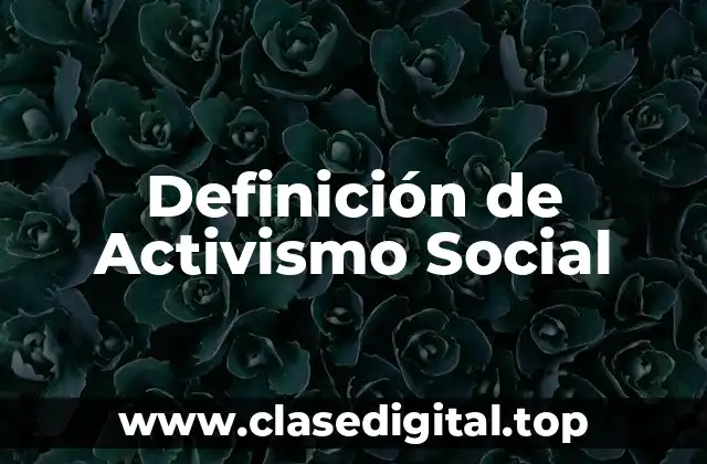 Definición Técnica de Activismo Social