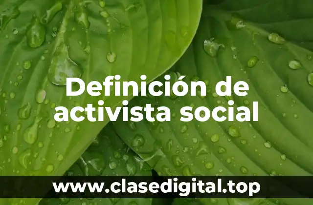 Definición de activista social