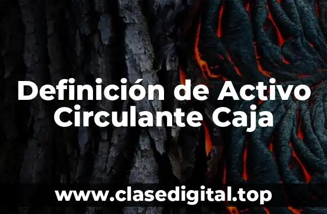Definición de Activo Circulante Caja