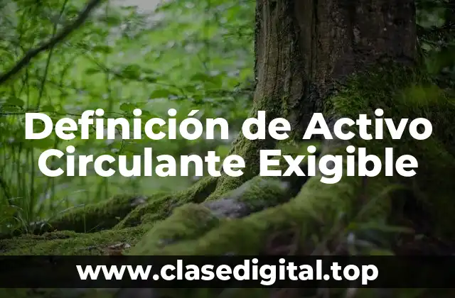 Definición de Activo Circulante Exigible