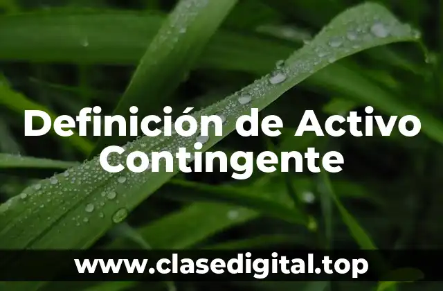 Definición de Activo Contingente