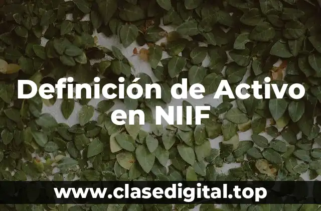 Definición de Activo en NIIF