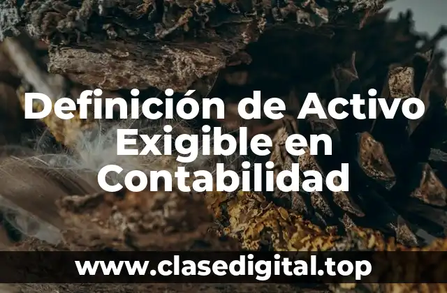Definición de Activo Exigible en Contabilidad