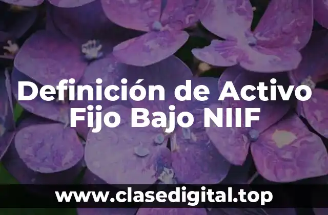 Definición de Activo Fijo Bajo NIIF