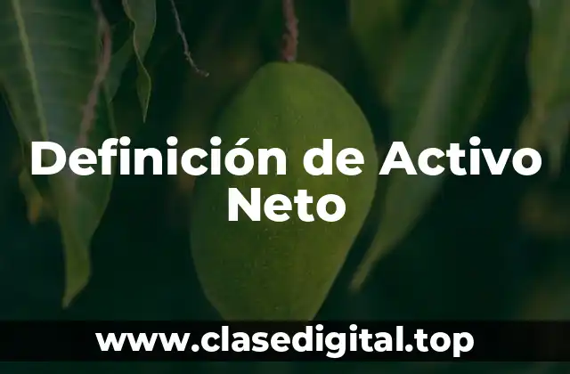 Definición de Activo Neto