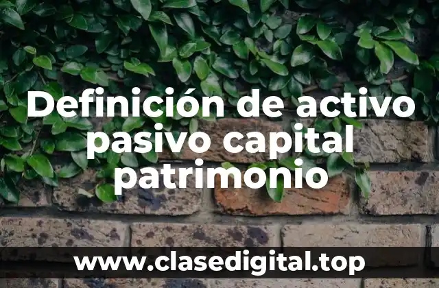 Definición de activo pasivo capital patrimonio