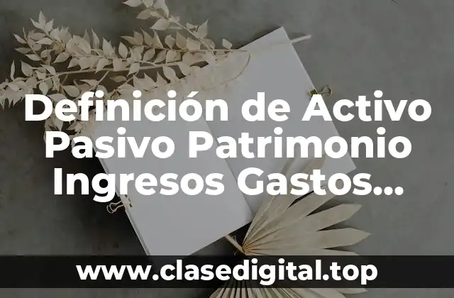 Definición de Activo Pasivo Patrimonio Ingresos Gastos Costos