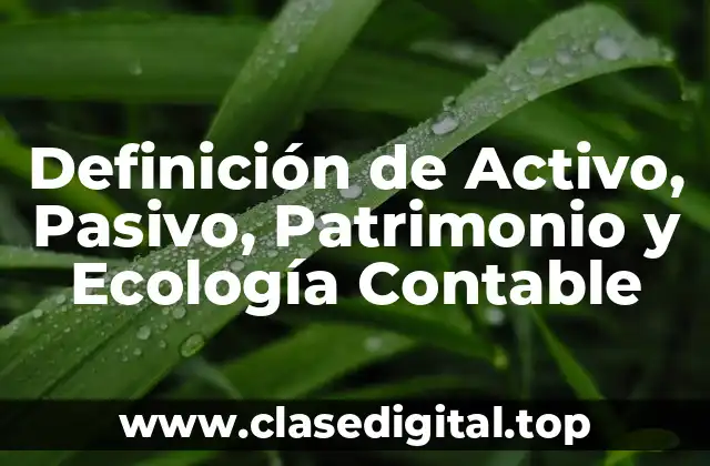 Definición de Activo, Pasivo, Patrimonio y Ecología Contable