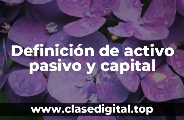 Definición de activo pasivo y capital