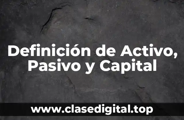 Definición técnica de Activo, Pasivo y Capital