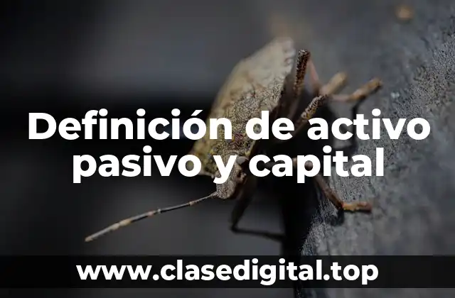 Definición técnica de activo