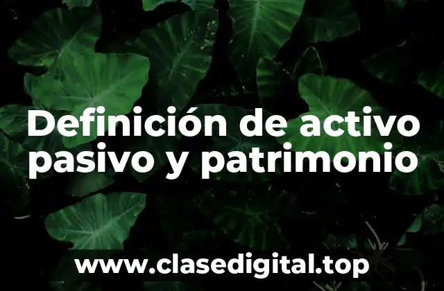 Definición de activo pasivo y patrimonio
