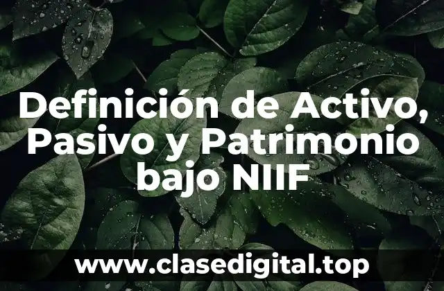 Definición de Activo, Pasivo y Patrimonio bajo NIIF