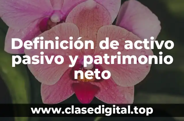 Definición de activo pasivo y patrimonio neto