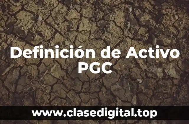 Definición de Activo PGC