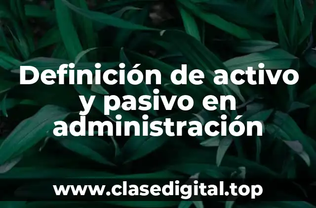 Definición técnica de activo en administración
