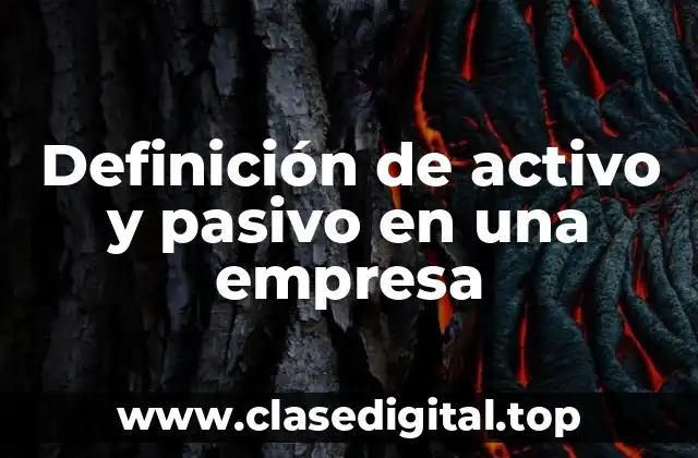 Definición de activo y pasivo en una empresa