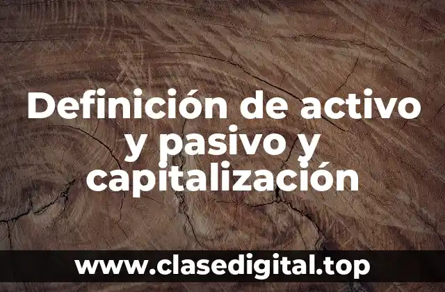 Definición técnica de activo y pasivo