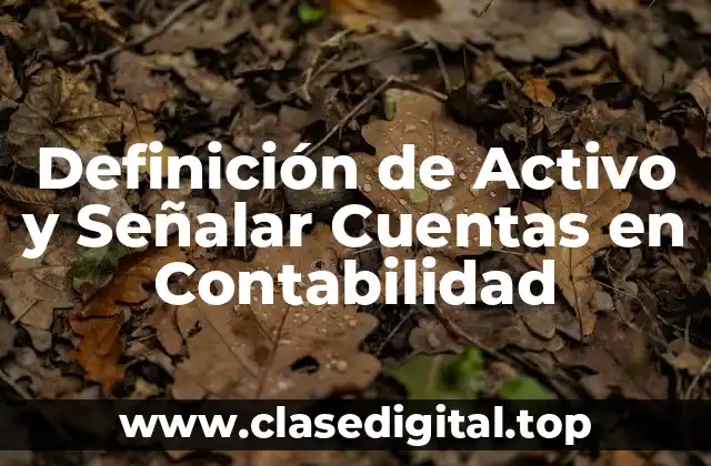 Definición de Activo y Señalar Cuentas en Contabilidad