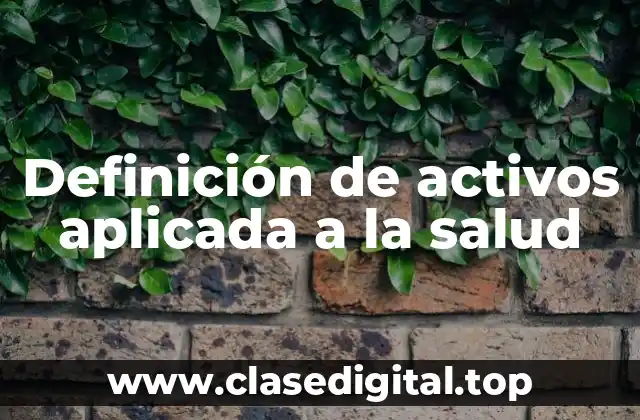 Definición de activos aplicada a la salud