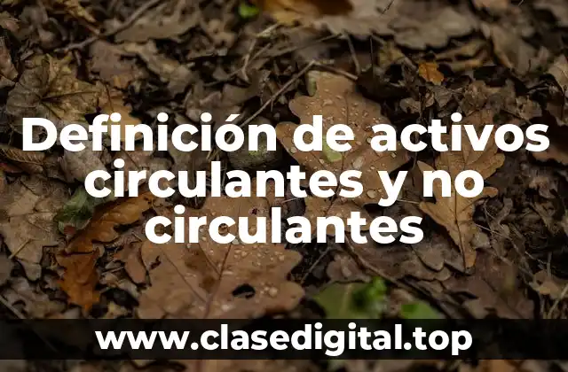 Definición de activos circulantes y no circulantes