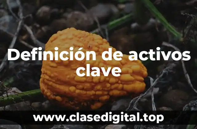 Definición de activos clave