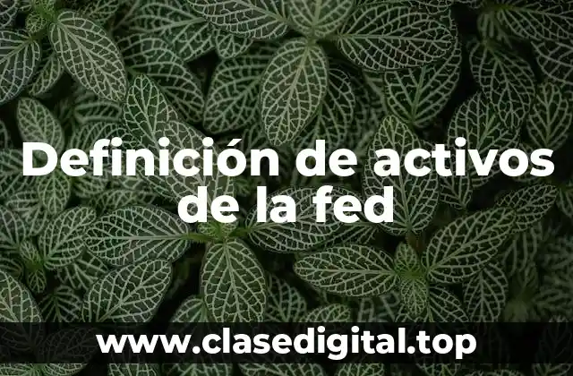 Definición de activos de la fed