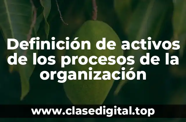 Definición de activos de los procesos de la organización
