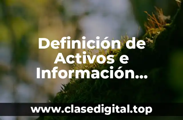 Definición de Activos e Información Seguridad Informática