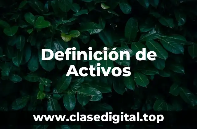 Definición de Activos