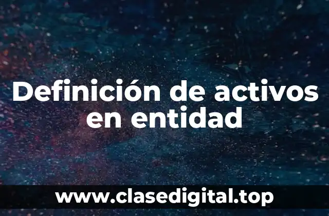 Definición de activos en entidad