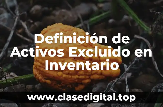 Definición de Activos Excluido en Inventario