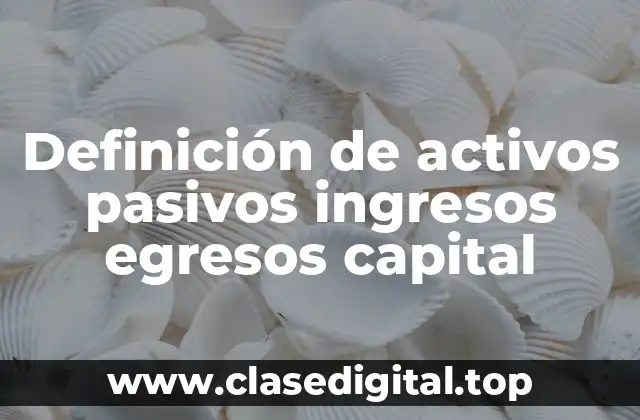 Definición de activos pasivos ingresos egresos capital