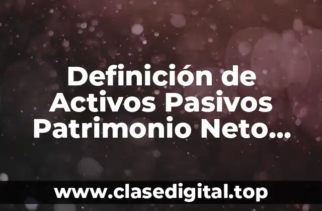 Definición de Activos Pasivos Patrimonio Neto Ingresos y Gastos