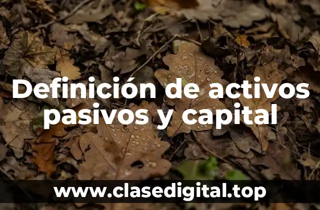 Ejemplos de activos pasivos y capital