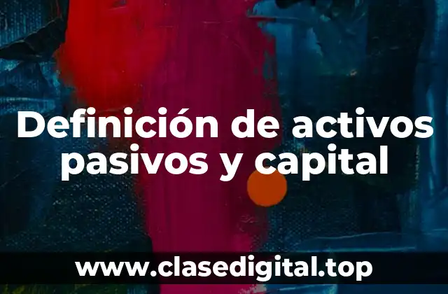 Definición técnica de activos pasivos y capital