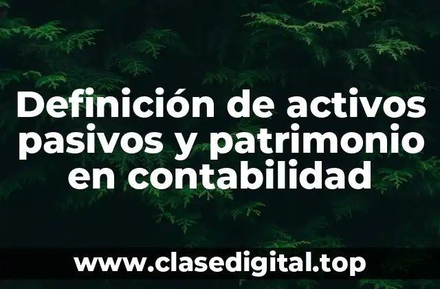 Definición de activos pasivos y patrimonio en contabilidad