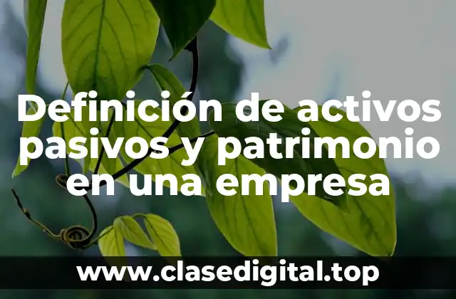 Definición de activos pasivos y patrimonio en una empresa