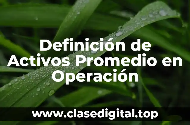 Definición de Activos Promedio en Operación