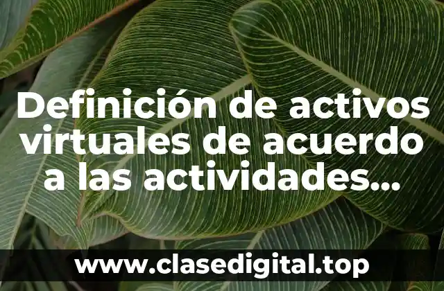 Definición de activos virtuales de acuerdo a las actividades vulnerables