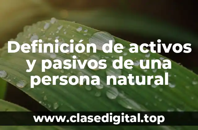 Definición de activos y pasivos de una persona natural