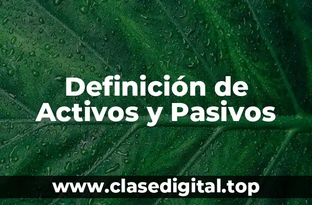 Definición técnica de Activos y Pasivos