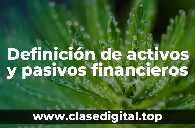 Definición de activos y pasivos financieros