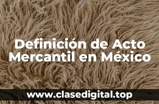 Definición de Acto Mercantil en México